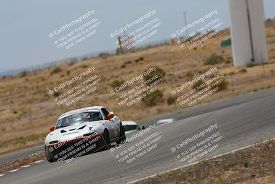 media/May-03-2025-Lucky Dog Racing (Sat) [[206de64b9d]]/Turn 6 (150pm-230pm)/